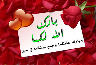 تهنئة للزميل أسامة البشبيشي بمناسبة عقد زواج شقيقته