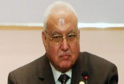 664 ألف مصري بالخارج لهم حق التصويت بانتخابات "النواب"