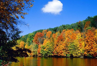 فَلَرُبَّما.. شعر أشرف محمد