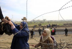 أكثر من 242 ألف نازح سوري في لبنان