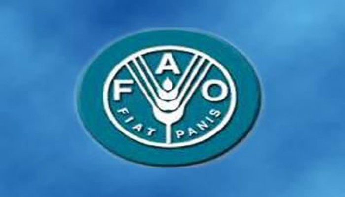 الكويت والفاو يبحثان وضع الغذاء والزراعة بسوريا
