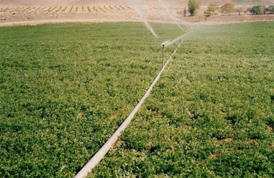 العاملون بمشروع التنمية الريفية بالنوبارية يستغيثون برئيس الجمهورية