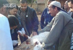 معرض خيري وقافلة بيطرية لـ"الحرية والعدالة" بالمنوفية