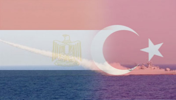 وزيرا الخارجية المصري والتركي يبحثان الأزمة السورية