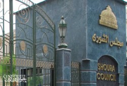 نواب تشريعية الشورى يوافقون على مادة العمال والفلاحين بقانون الانتخابات