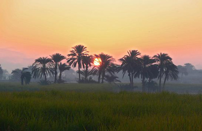 الصعيد حصن الإسلام