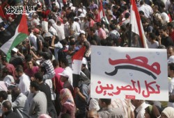 أقول لأعداء الثورة وأعداء الوطن: حنانيكم!!