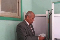 السيد العماوي يدلي بصوته بشبين القناطر