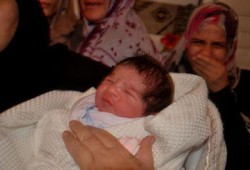 1197 مولودًا في غزة خلال أيام العدوان الصهيوني