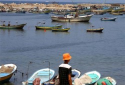 البحرية الصهيونية تخرق التهدئة وتعتقل 6 صيادين ببحر غزة