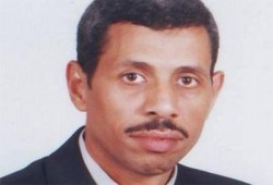 تساقط الأوراق