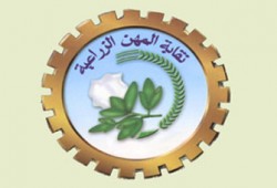 "الزراعيين": قرارات الرئيس تحافظ على الثورة ومكتسباتها