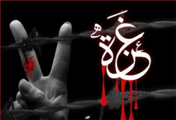 وقفات بالبحر الأحمر وشمال سيناء تأييدًا لقرار الرئيس لنصرة غزة