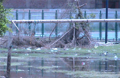 مراكز الشباب.. إرث المخلوع يطاردها