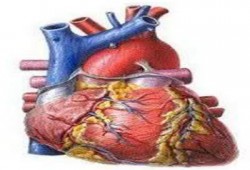 السرطان يتفوق على أمراض القلب ويصبح أكثر داءً فتاكًا في العالم