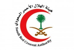 الهلال الأحمر السعودي: إصابة 379 حاجًّا في حوادث مختلفة