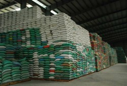 "الحرية والعدالة" يسهم في ضبط 108 أطنان من الأرز التمويني الفاسد بالمنيا