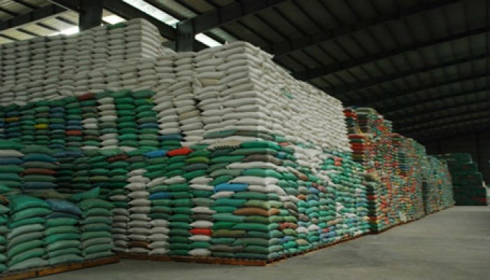 "الحرية والعدالة" يسهم في ضبط 108 أطنان من الأرز التمويني الفاسد بالمنيا