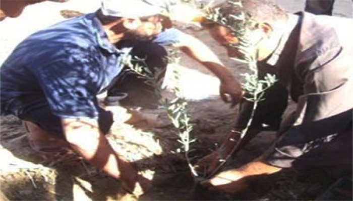 حملة للحرية والعدالة لزراعة ألف شجرة مثمرة بالمنوفية