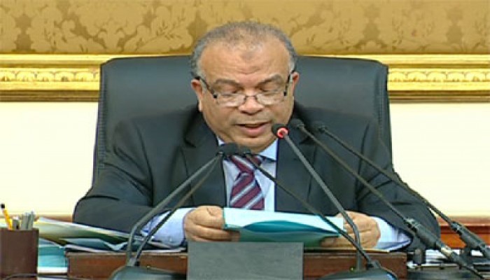 الكتاتني: تضافر الجهود واجب لاستكمال أهداف الثورة