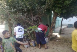 "ازرع شجرة" حملة للحرية والعدالة بالمنوفية