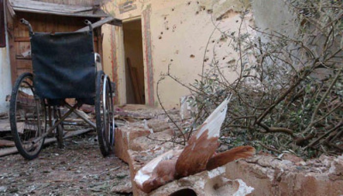 ارتقاء 313 شهيدًا أمس بسوريا