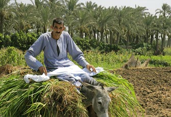 لجنة تضم رئيس الوزراء ووزير الزراعة لبحث مشاكل الفلاحين