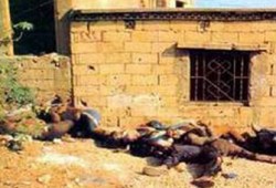 وفد أوربي ينظم لقاء لإحياء ذكري "صبرا وشاتيلا" بلبنان