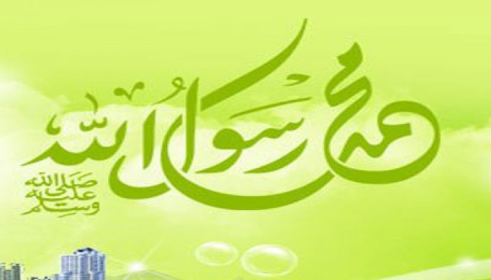 حزب النور بمجلس الشورى يدين الإساءة للرسول الكريم