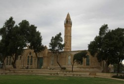 الكيان الصهيوني يصر على إقامة "مهرجان الخمور" في مسجد