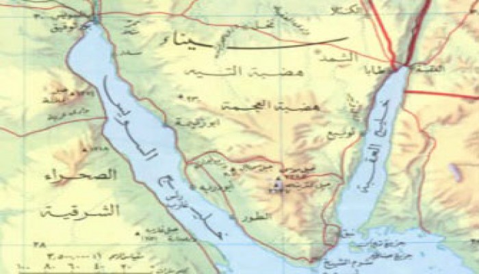 سليمان صالح يدعو لانطلاق مشروع النهضة من سيناء