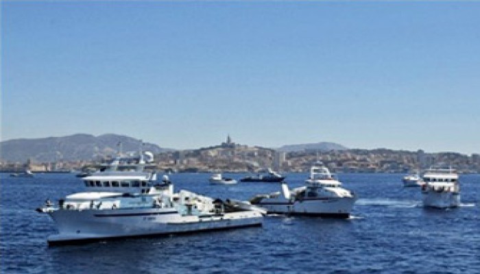 نقيب كفر الشيخ: تدخل الرئيس وراء الإفراج عن صيادي "برج مغيزل"