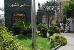 مجلس الشورى يناقش تقريرين حول أطفال الشوارع ومصابي وشهداء ثورة يناير