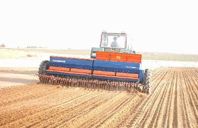 د. عبد التواب بركات يكتب: نحو اكتفاء ذاتي من القمح والخبز المصري