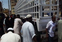 حملة لـ"الحرية والعدالة" بأسوان لإنهاء أزمة "أسطوانة البوتاجاز"