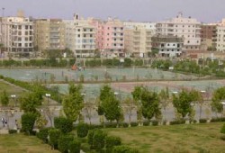 القوى الوطنية تدشن مشروع "جميلة يا بلدي" للـ100 يوم بأكتوبر