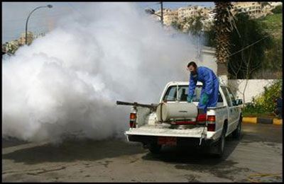 حشرات الصيف.. حلول بسيطة