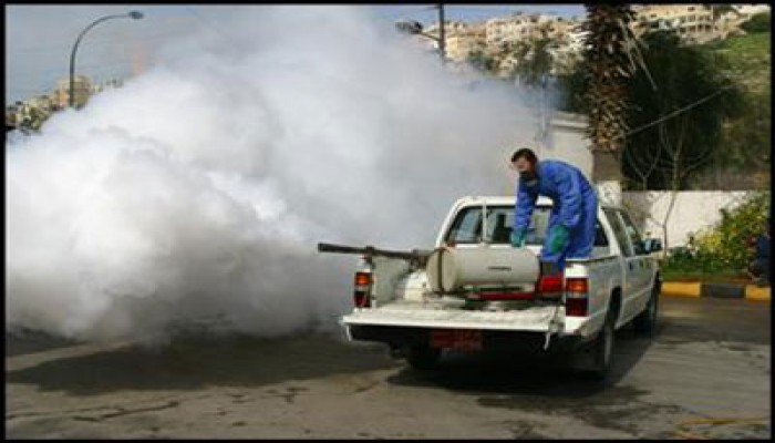 حشرات الصيف.. حلول بسيطة