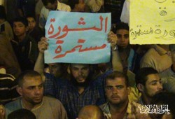 القوى السياسية بالبحيرة تؤسس جبهة لحماية الثورة من أعدائها