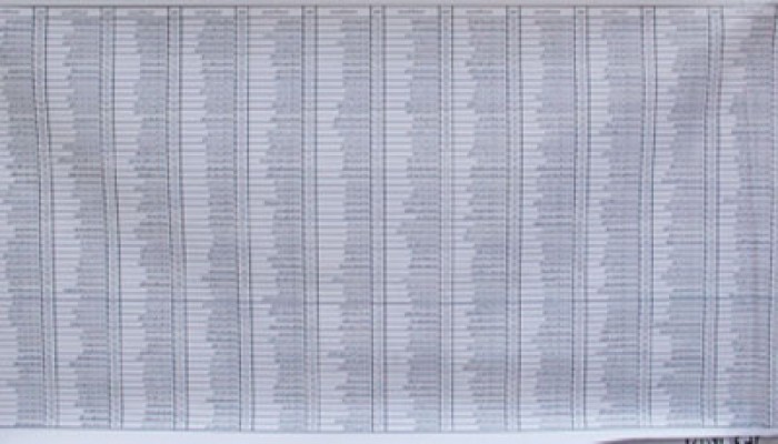 وفيات و مجندون بكشوف انتخابات أسيوط والوادي الجديد