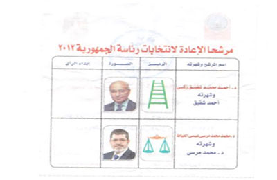 تحرير محضر ضد "فل" هرب بطاقة دوارة بالمنوفية