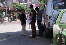 قاض يلفق قضية لناخبة اعترضت على التوجيه لشفيق بـ"أبو النمرس"!