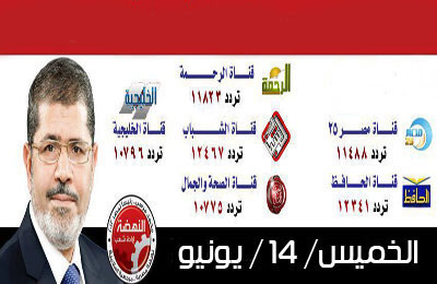 اليوم.. بث مشترك لـ6 قنوات إسلامية دعمًا لمرسي