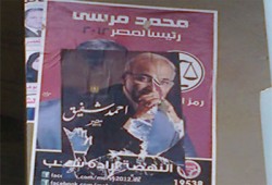 فلول الدقهلية يطمسون دعاية د. مرسي ببوسترات شفيق
