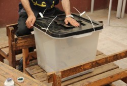 استبعاد "صناديق شفيق" ببولاق الدكرور