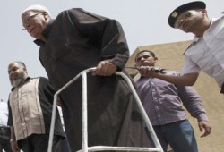 كبار السن والسيدات يزاحمون لجان جنوب الجيزة