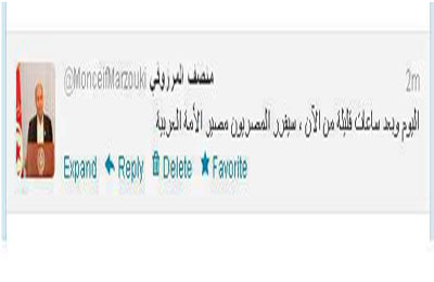 المرزوقي: الانتخابات المصرية تقرر مصير العرب