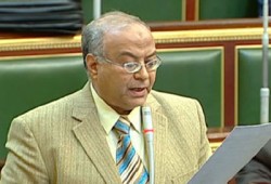 لجنة الشئون العربية بمجلس الشعب تبحث دعم الثورة السورية