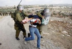 الاحتلال الصهيوني يعتقل 5 فلسطينيين