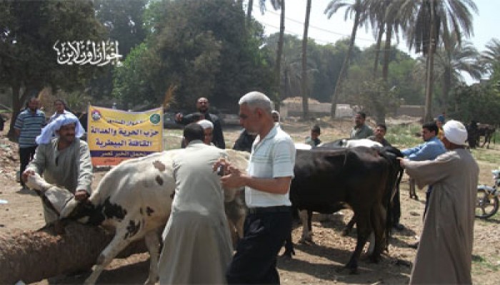 المنيا.. قافلة بيطرية لـ"الحرية والعدالة" بمطاي